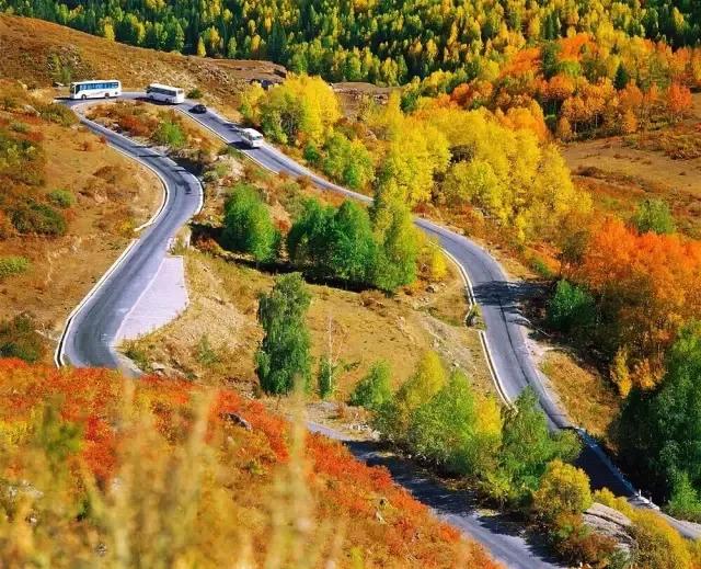 新疆，梦想起航之地，学习照亮自信之路