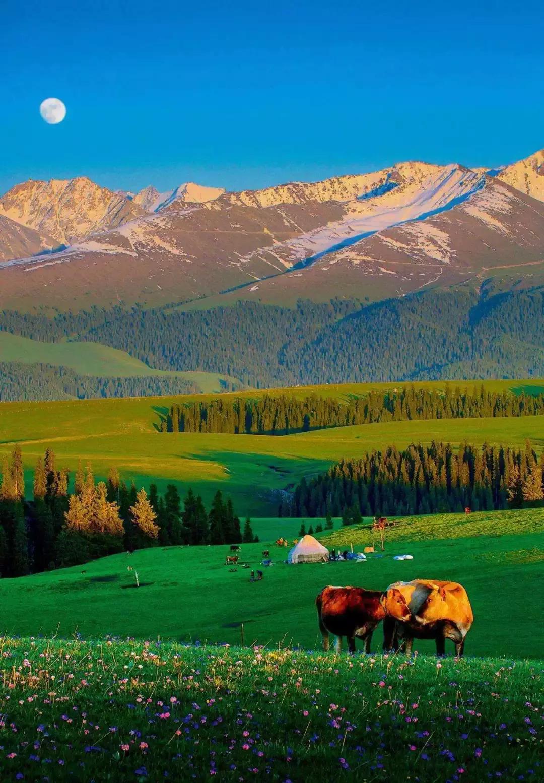 丝绸之路上的新疆,璀璨明珠风采再现